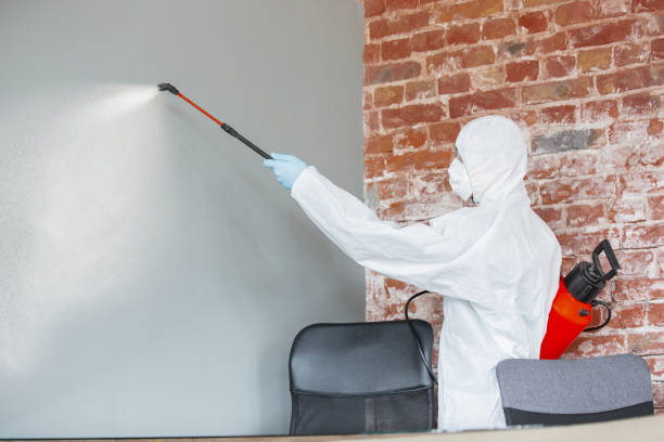 Best Mold Odor Removal Services  in Bells, TN
