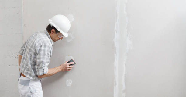 Best Comprehensive Air Testing for Mold Contaminants  in Bells, TN