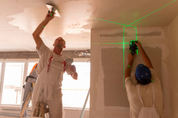Best Commercial Mold Inspection  in Bells, TN