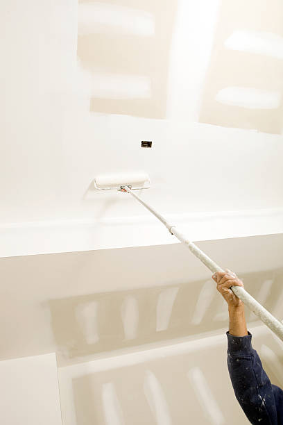 Best Forensic Mold Investigation  in Bells, TN
