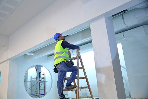 Best Mold Removal for HVAC Installations  in Bells, TN